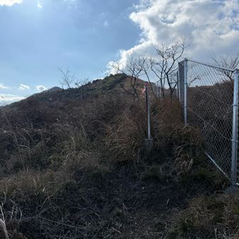 フェンスに着きました。以降フェンス沿いに