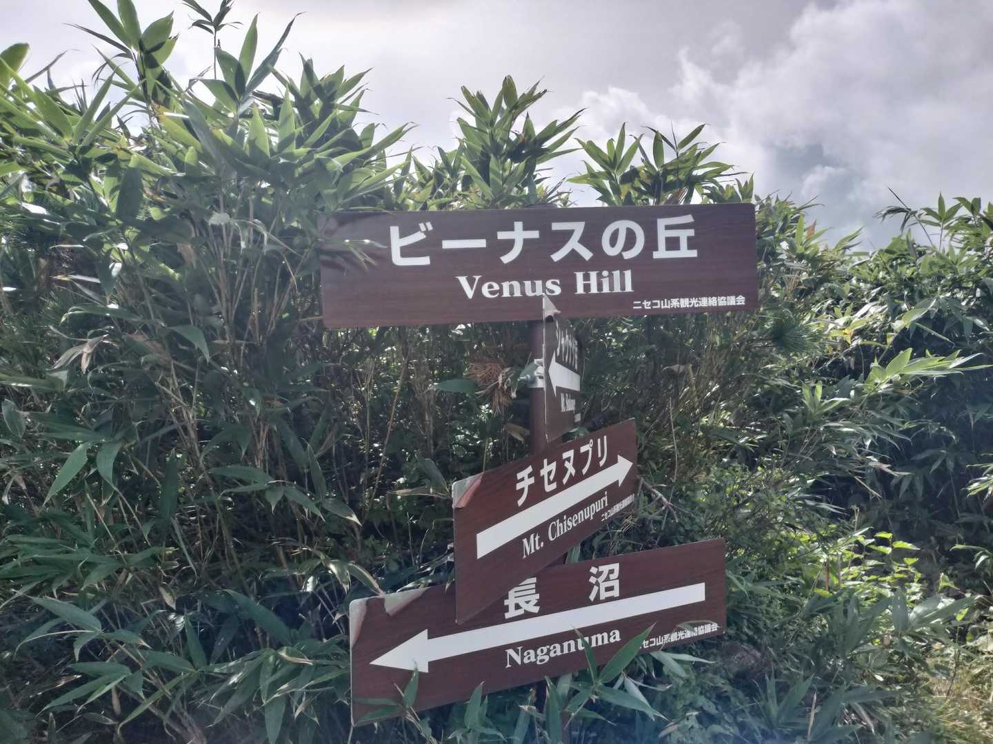 ビーナスの丘？
キレイなお姉ちゃんでもいるのかな？