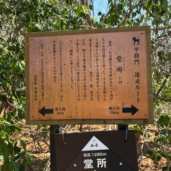 将門一行にどんな悲劇が起こったか知りたかったのに次の看板が見当たらずモヤモヤ