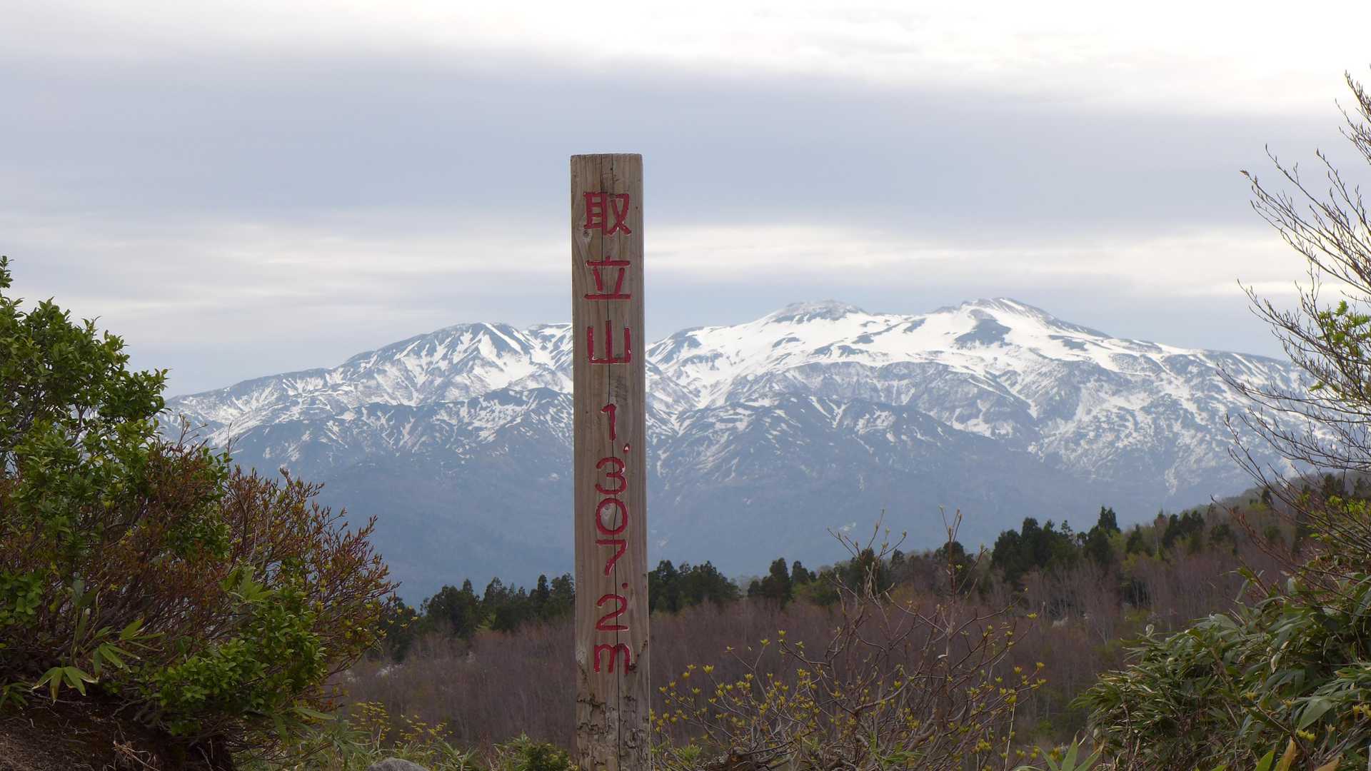 取立山周回 | 大滝からこつぶり山の白山展望へ、取立平に水芭蕉3,000株が咲くの写真