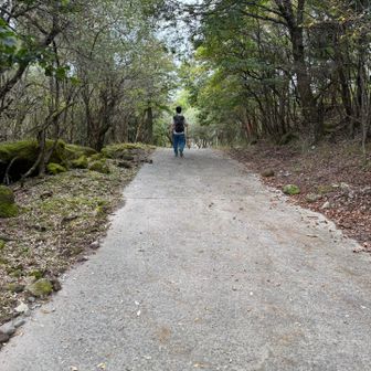 後は平和な道が続きます😆
歩きやすい🚶‍♀️🚶
嬉しい🥹
このまま下山できました😃