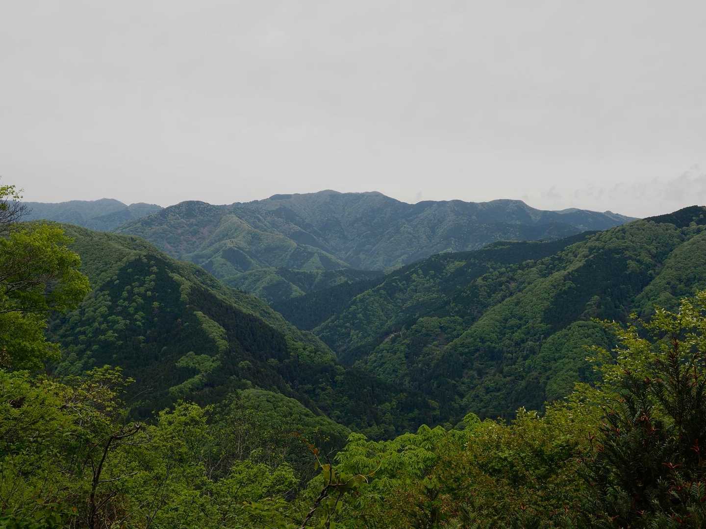 曇り空ですが山肌の新緑が
清々しい🌿
