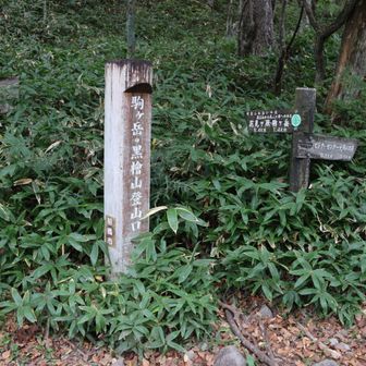 無事、に下山することができました。