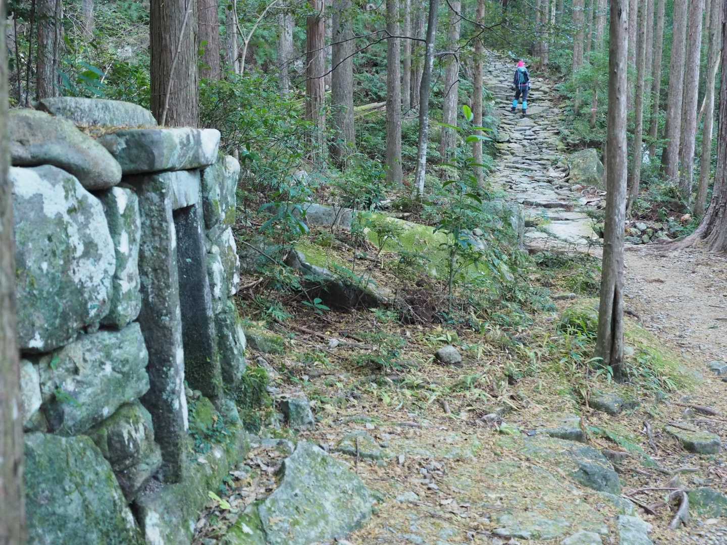 夜泣き地蔵尊を通過。山行の無事をお祈りしました