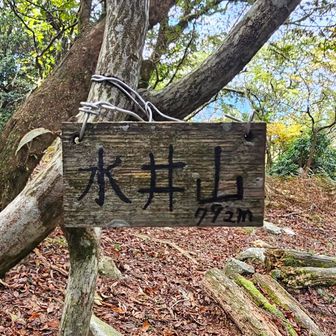 水井山
横高山を下って、再び登り返してきた
横高山より30m程高い