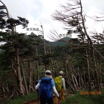 雲の切れ間に天狗岳が見えました