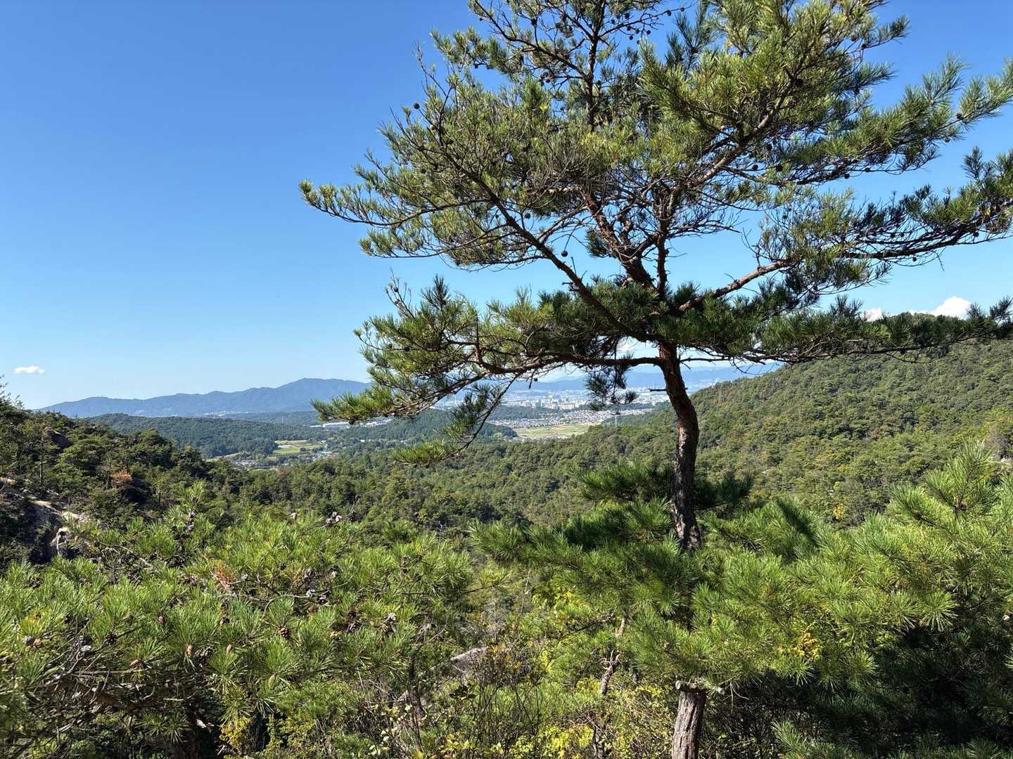 上桐生登山口-鶏冠山 周回コースの写真