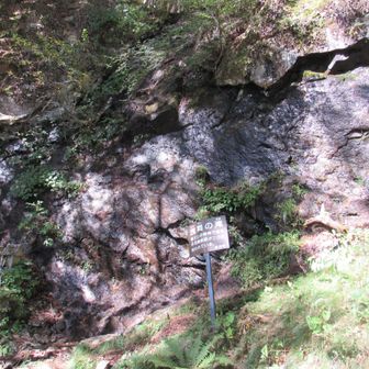 路が分かれており滝を見学にチョイスしました。
浅間の滝