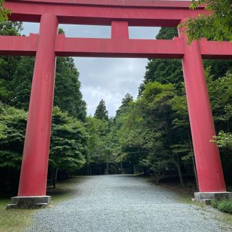 ⛩️