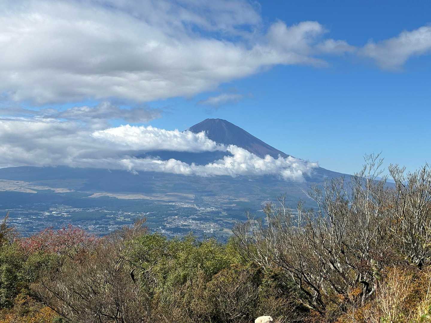 金時山コースの写真