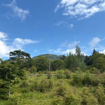 治部坂高原🅿️にとうちゃくです😊

4年前は、登りが大変だったとの記憶でしたが、
今回は大変ではあったものの、それほどには感じず。
ここは経験値が上がったからかな？
一方でペースは4年前の方がちょっとだけ早かったのは、体力の低下かなぁ…

4年前との比較もできたし、
いいトレーニングになりましたー🎶