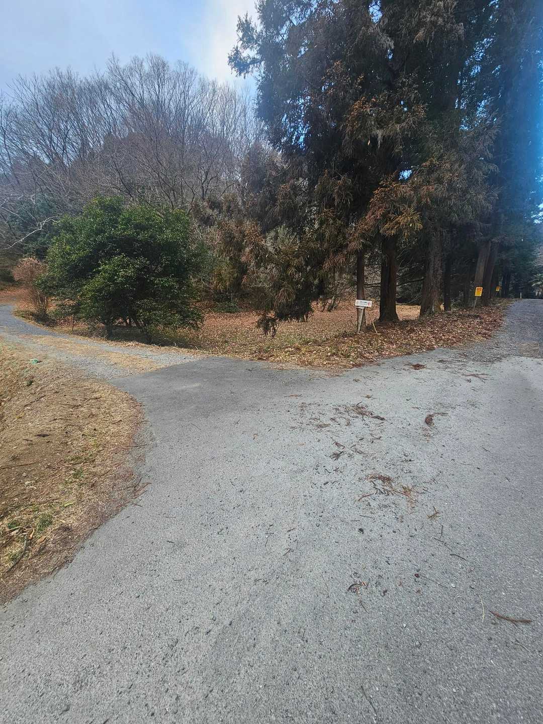 ここを⇐左で　スタート＼(^-^)／
