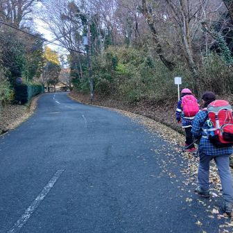 ロードをテクテク