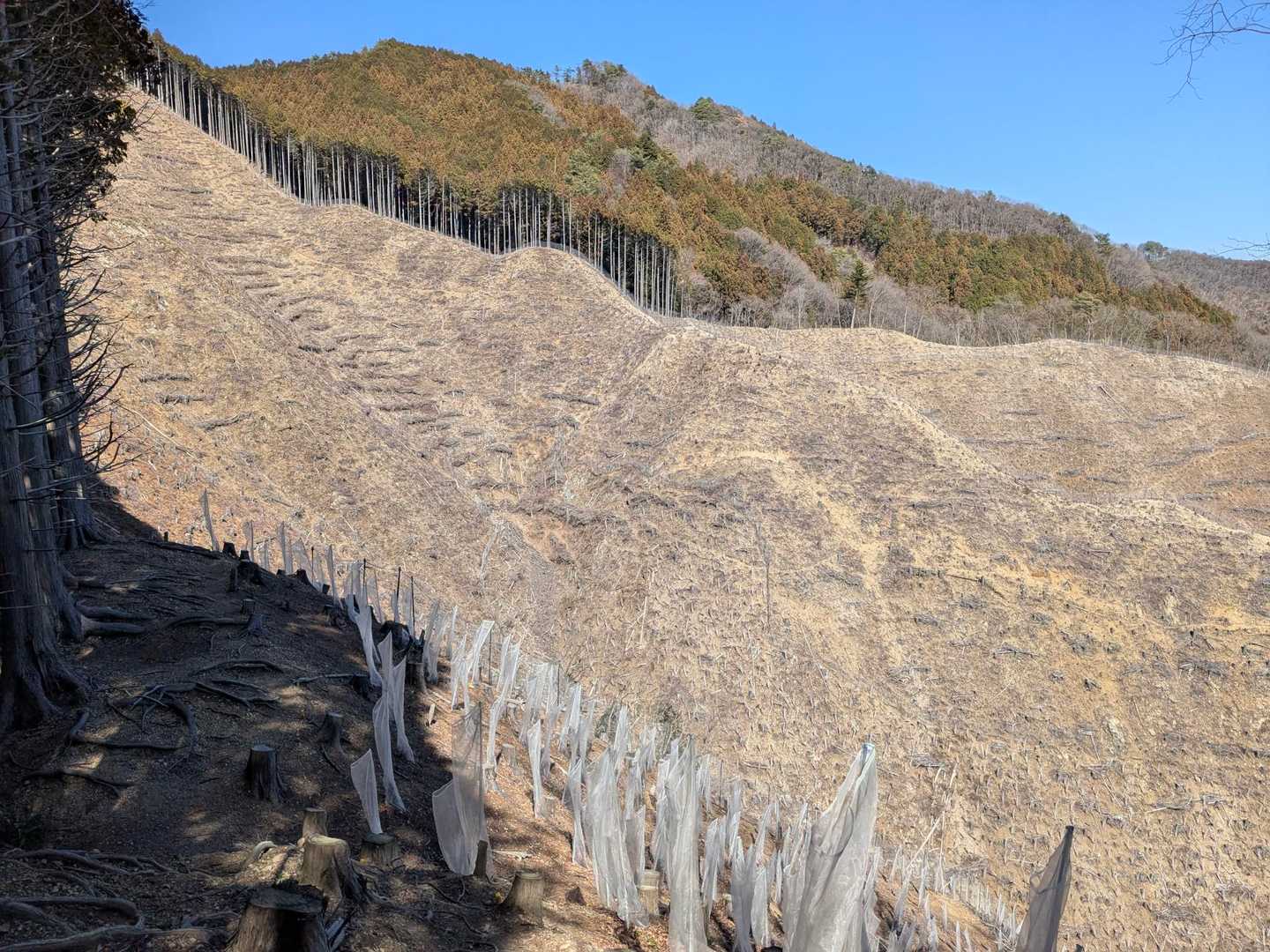 荷田子峠 ・城山・臼杵山登り口-荷田子峠-臼杵山-石津窪山 縦走コースの写真
