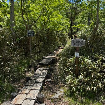 次は薬師岳へ登ります