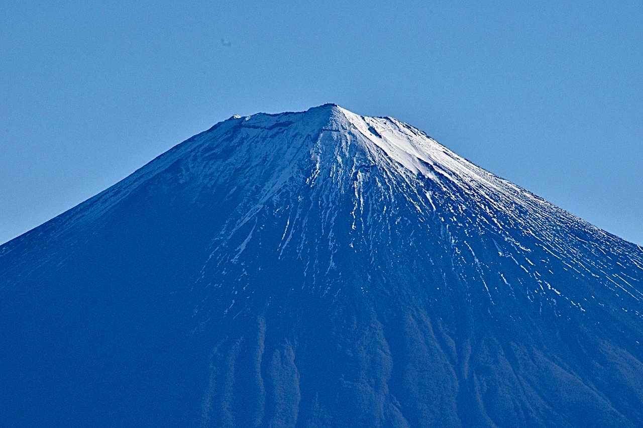 ズーム🤩