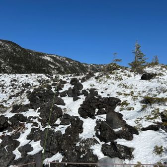 岩だらけの坪庭が雪に埋まって歩きやすいです。