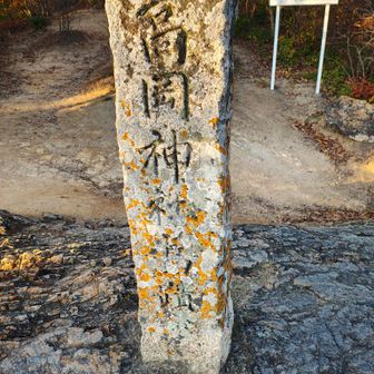 先ほどの説明板にあった高岡神社