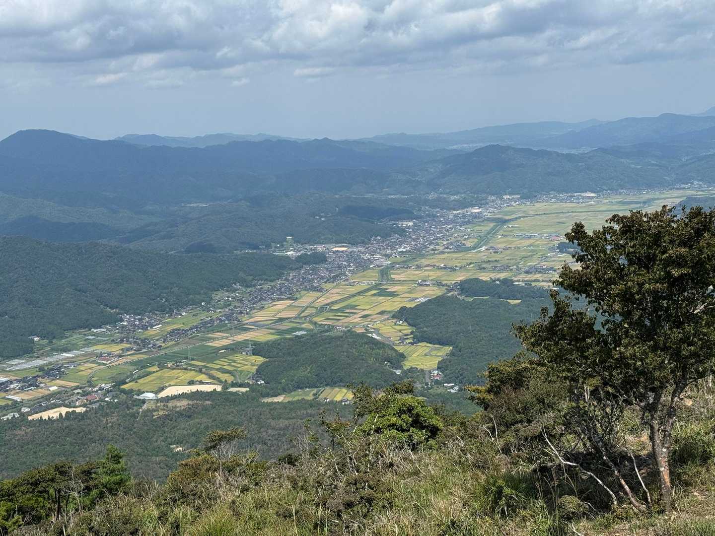 鳩ヶ峰-大江山 往復コースの写真