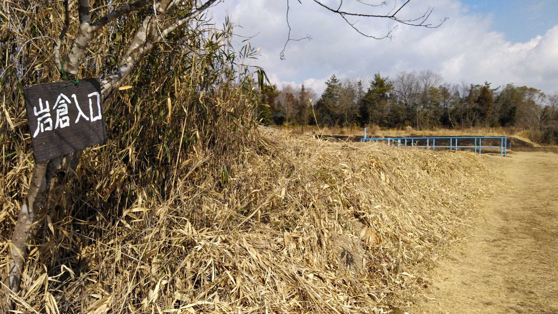いつものところで定点パチャリ📷️