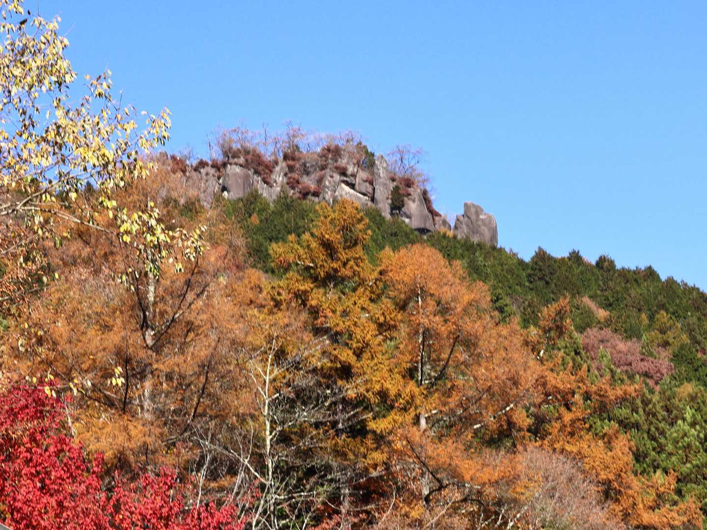 木々の隙間から見えた。
あれが硯岩？ゴツい😨
硯って言うと平べったいイメージなのだが。あの岩ですったら墨すぐ無くなる🤣
