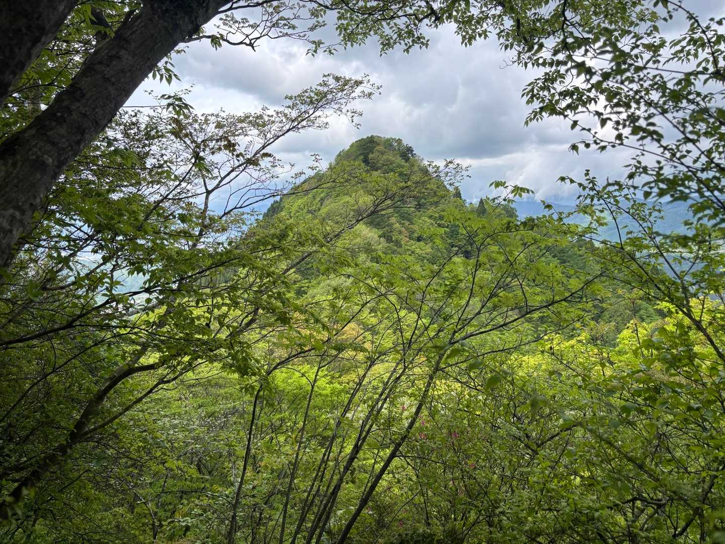 青葉山西峰方面