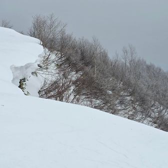 ここにも雪庇が！！