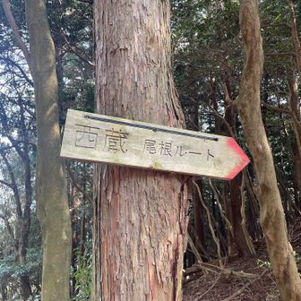 最後のピーク
西蔵へ