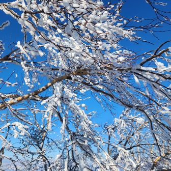 あきらめてたぶん
テンション上がる！