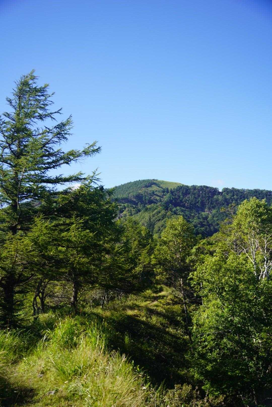 茶臼山。扉峠から登るとしっかり登山ができて良かったです。
最後までご覧いただきありがとうございました🙇‍♀️
動画は少し先ですが、映像がとてもきれいに撮れていたのでご覧いただければ嬉しいです☺️