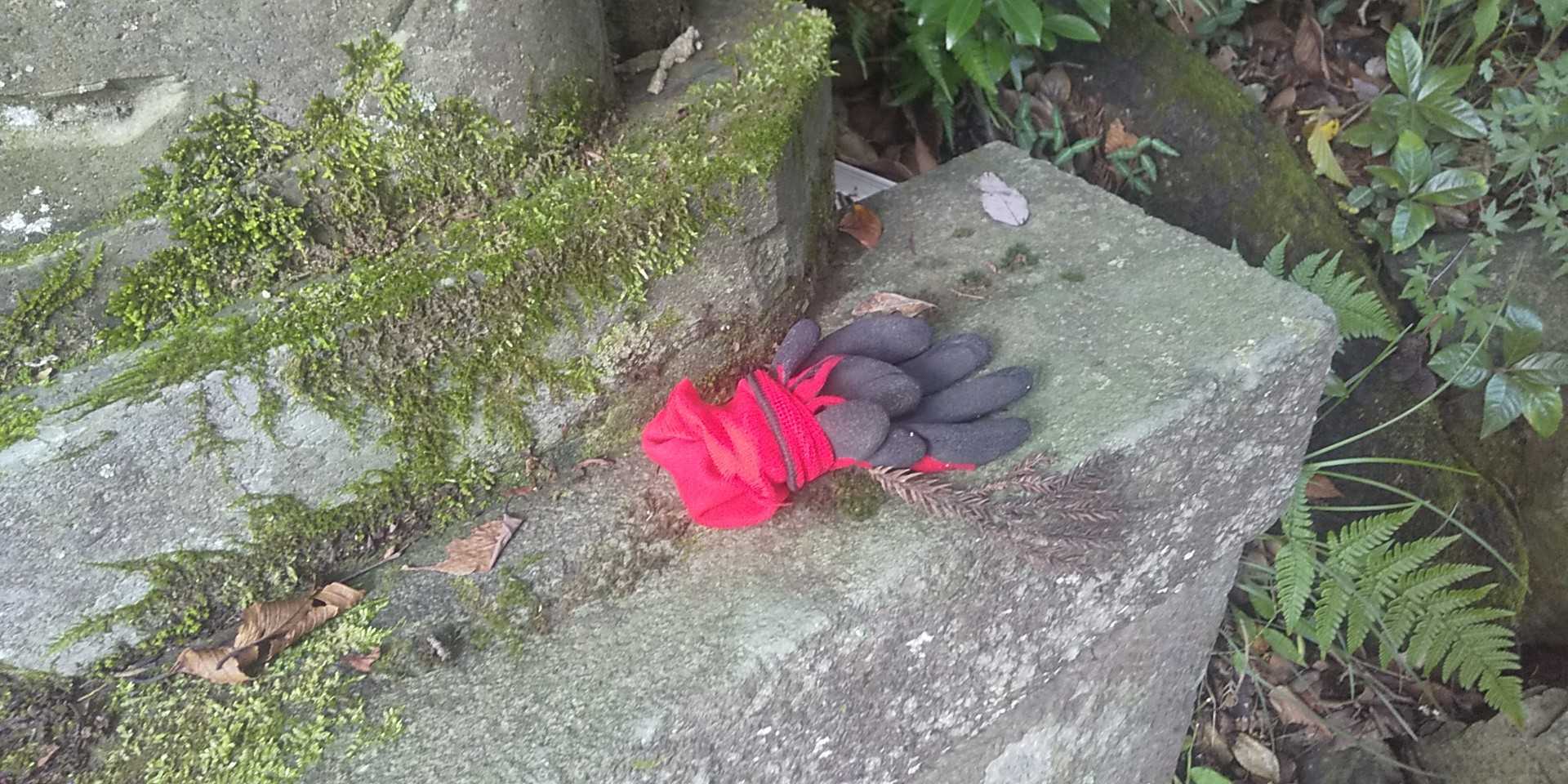 誰かの忘れ物。
取りに来るかな？