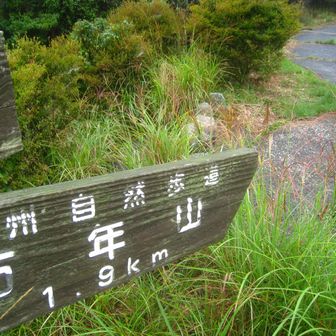吉武台駐車場登山口から出発します。
この時間帯で駐車している車はなし。