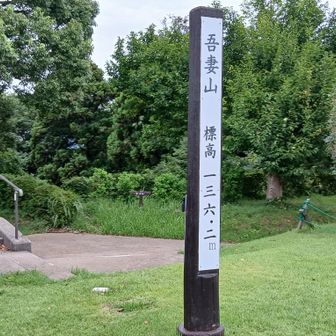 あ、こっちが山頂標識かっ