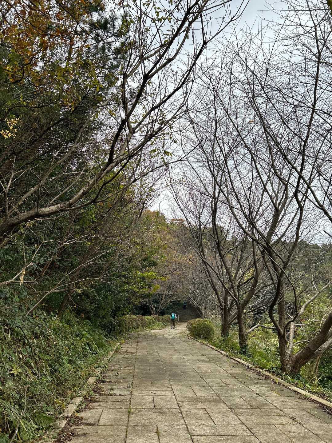 朝日山 周回コースの写真