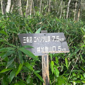 まだまだ