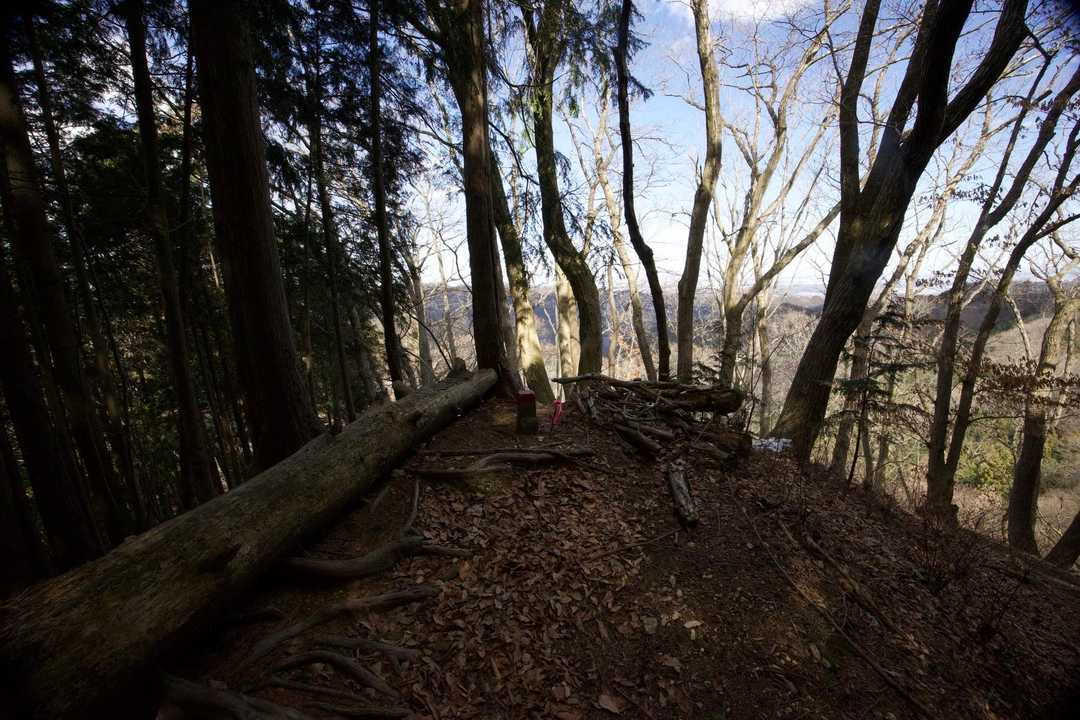 奥高尾〜裏高尾縦走（陣馬山・堂所山・富士見台・駒木野） の写真 37