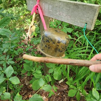 分岐で鐘があったので、鳴らしてみる🔔