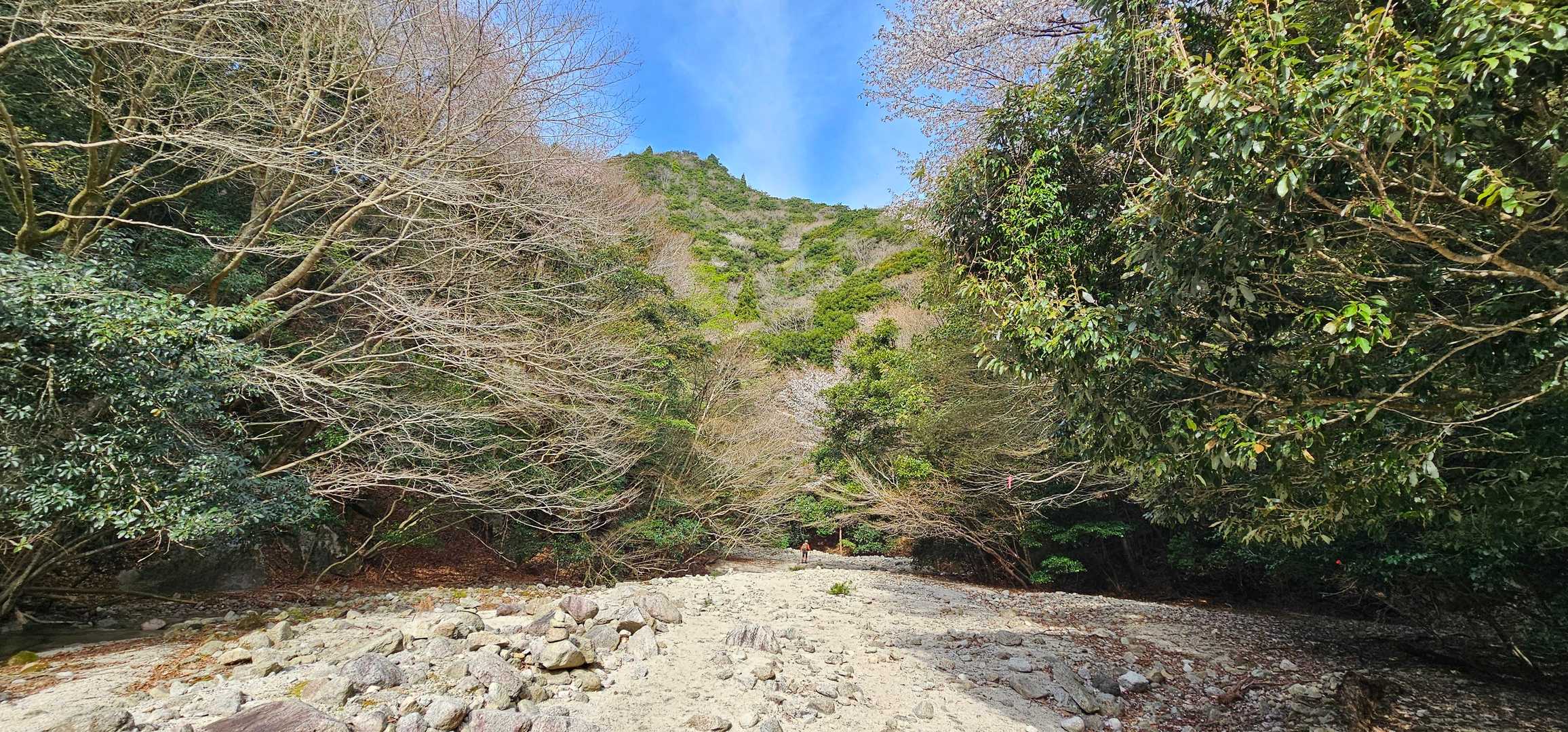 スタートは雲多かったけど
すっかり青空☀️