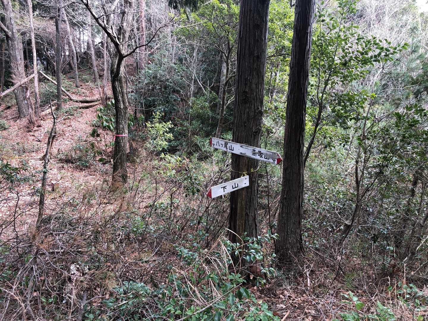 高取山-八ッ尾山 周回コースの写真