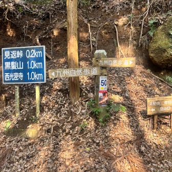 １キロ以上の体感だった😅