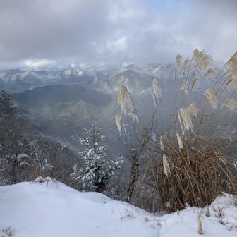 今日は27kgの歩荷で滑って転けるのが嫌なので、周回コースではなく、来た道を戻る