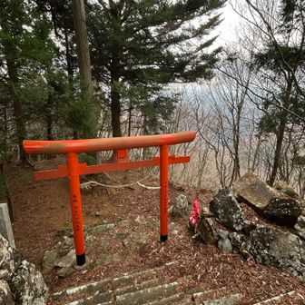 山頂の鳥居です⛩️
天空の鳥居になるかと思い撮影してみましたが、そこまでの眺望はありませんでした…😅