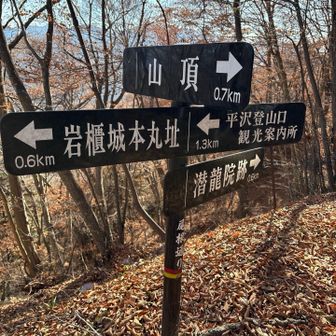 潜龍院跡というのは、柴田勝頼を匿うために建てたもの。でも勝頼はここに向かう途中、大月岩殿山周辺の寺で臣下の裏切りに合い自害した為、潜龍院には来られなかったのだそうです。
あまりにも歴史が生々しく、更にシンとした心持ちで歩いていました。