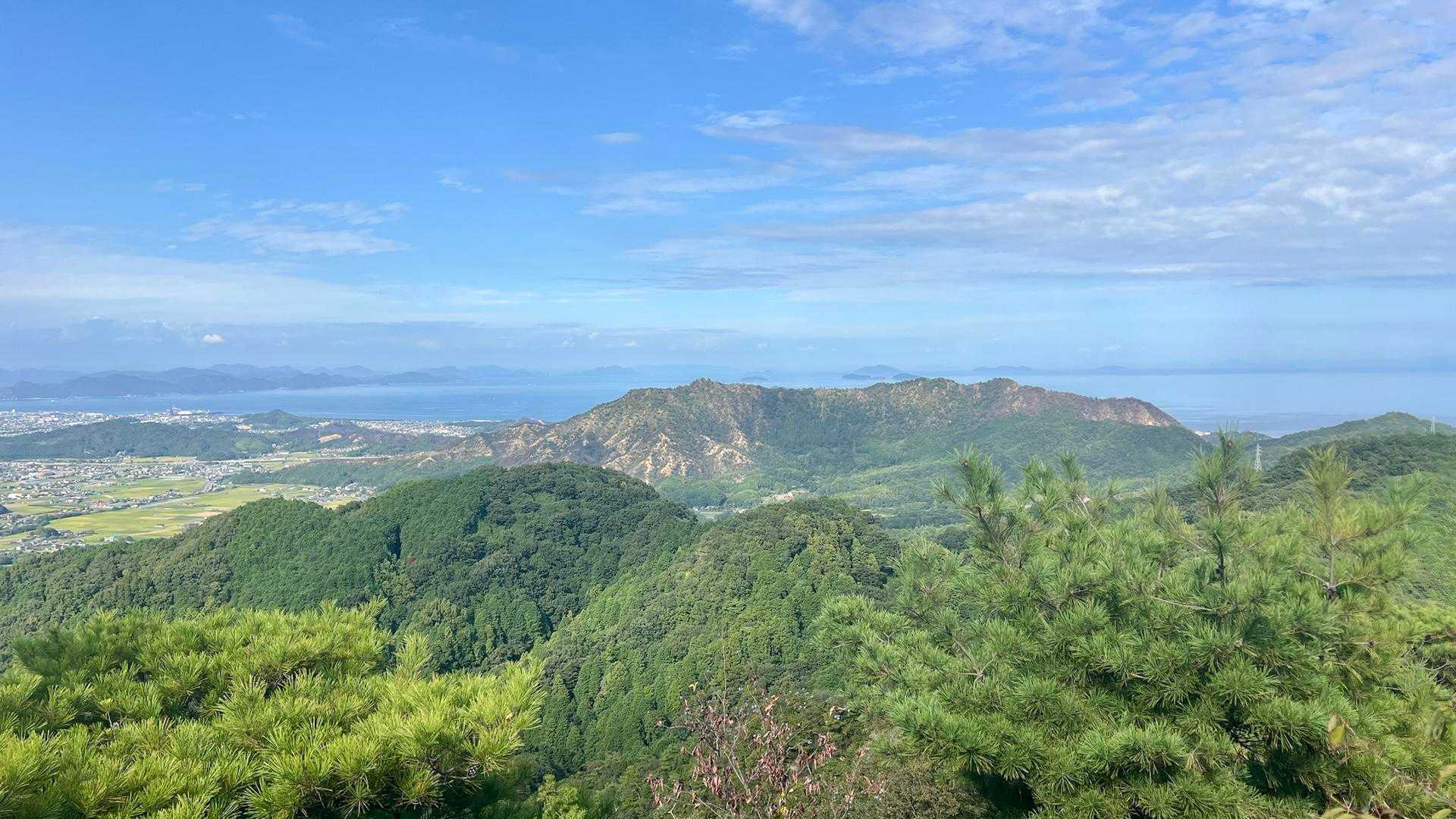 3.4月に３週間に渡って燃え続けた今治の山火事全国ニュースに毎日取り上げられた現場の山が奥に見える笠松山と世田山