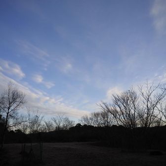 いい天気になりそう