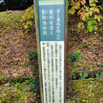 奥州古道や鎌倉街道など、歴史的な古道跡らしき道が交錯している