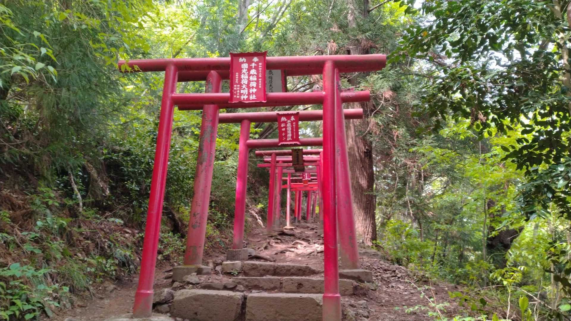 鳥井が連続
