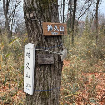 気持ちのよい散策路で、途中神久山（しんきゅうやま）、太郎坊といったピークを踏みました。神久山は「かぐやま」ともいうらしいです。