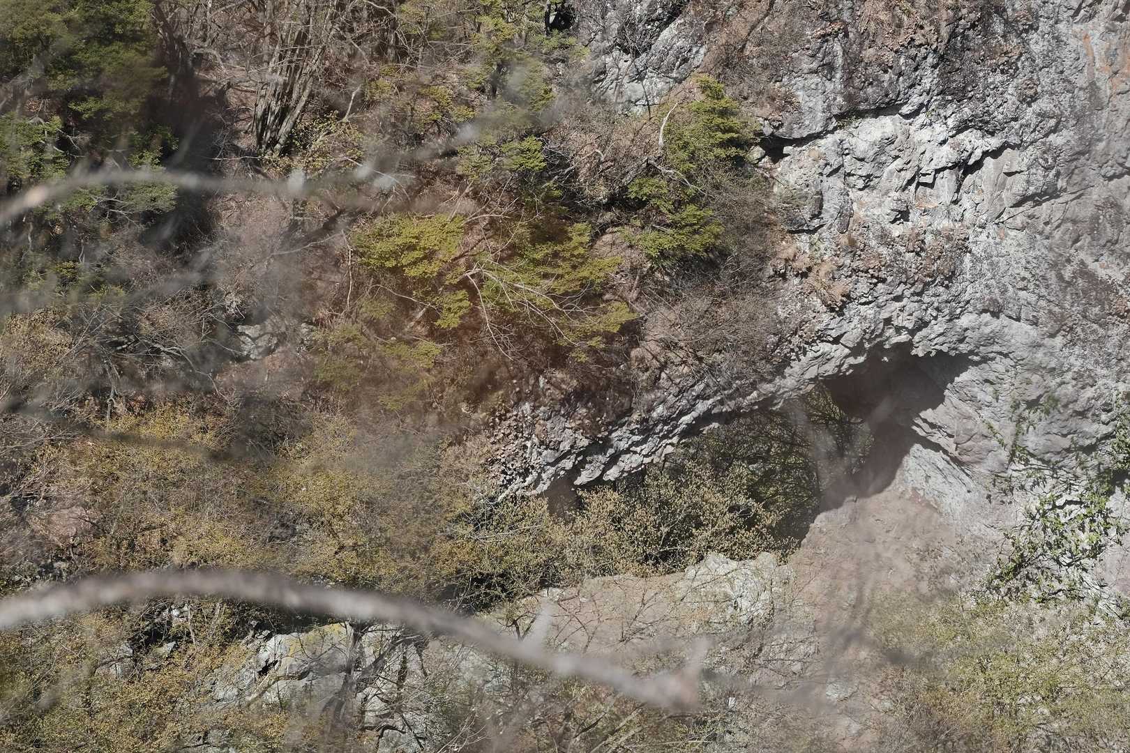 岩に穴、と言うか庇？
なんか気になる