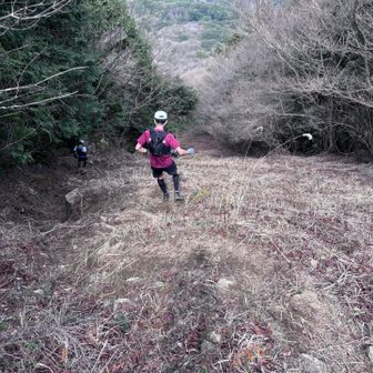 きた！激下り‼️